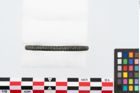 Foto von Bronzearmreif (NHMW-PRAE-026401)